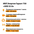 ИБП для котла Энергия Гарант 750 + Аккумулятор 55 Ач 12 В (450Вт - 67мин) - ИБП и АКБ - ИБП для котлов - . Магазин оборудования для автономного и резервного электропитания Ekosolar.ru в Мытищах