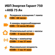 ИБП для котла Энергия Гарант 750 + Аккумулятор 75 Ач 12 В (450Вт - 91мин) - ИБП и АКБ - ИБП для котлов - . Магазин оборудования для автономного и резервного электропитания Ekosolar.ru в Мытищах