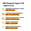 ИБП Энергия Гарант 750 + Аккумулятор S 75 Ач - 12В (450Вт - 91мин) - ИБП и АКБ - ИБП для котлов - . Магазин оборудования для автономного и резервного электропитания Ekosolar.ru в Мытищах